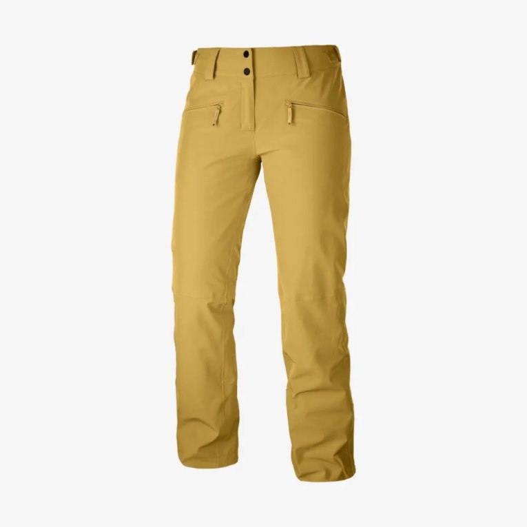 Brown Salomon Edge Women's Ski Pants | IE FB1239